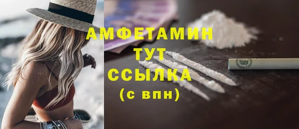 стаф Аркадак