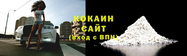 стаф Аркадак