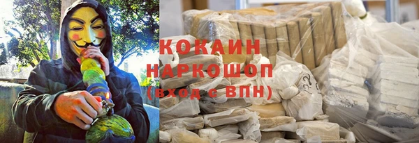 стаф Аркадак