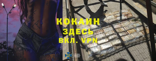 стаф Аркадак