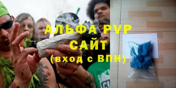 стаф Аркадак