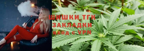 стаф Аркадак