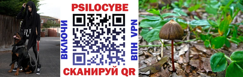 Псилоцибиновые грибы Cubensis  хочу   Нефтегорск 